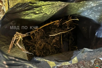 У жителя Черкесска изъяли более килограмма наркотиков