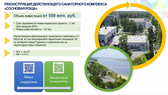 В мае 2025 года инвесторам предлагали вложить в реконструкцию «Сосновой рощи» от 550 миллионов рублей за 7 лет | Источник: инвестиционный портал Курганской области / invest45.ru
