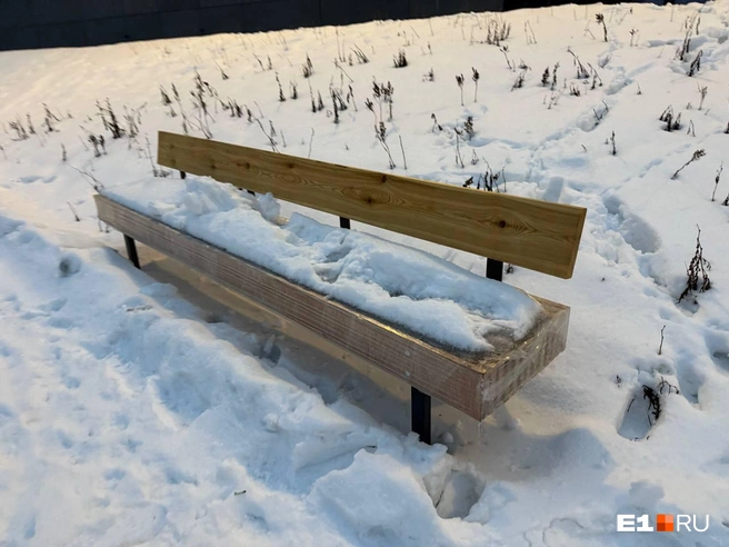 Источник: Анастасия Баранова / E1.RU