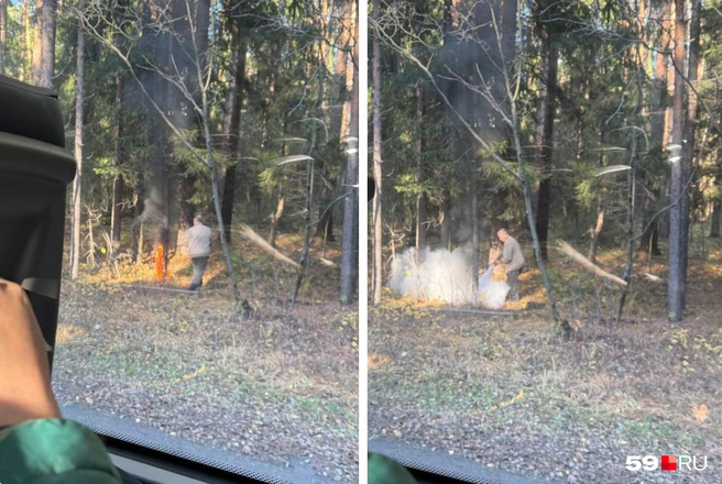 Водитель остановил автобус, чтобы потушить загоревшееся дерево | Источник: читатель 59.RU