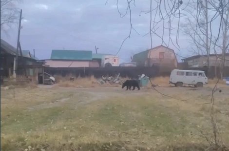 Источник: Скриншот из видео