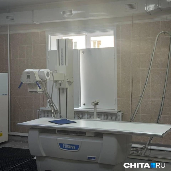 Источник: Анастасия Журавлева / CHITA.RU