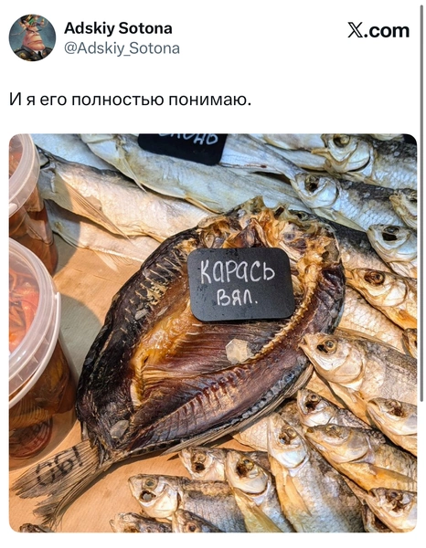 Источник: X (Twitter)