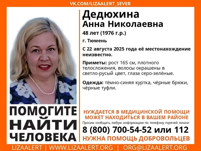 Источник: «ЛизаАлерт»