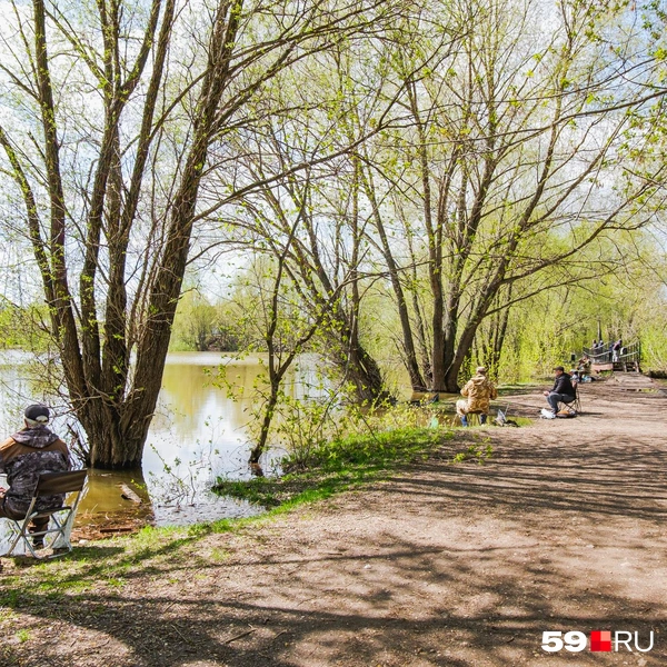 Всем бы такой понедельник | Источник: Тимофей Калмаков / 59.RU
