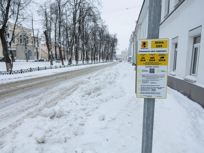 Горожане в целом приняли новую систему платных парковок, однако сейчас они не могут ей воспользоваться | Источник: Артем Бауман / 76.RU