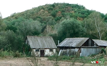 Источник: Илья Воробушкин / V1.RU