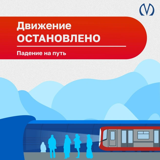 Не выжил. Что известно о человеке, упавшем на путь в метро «Озерки» | www.fontanka.ru