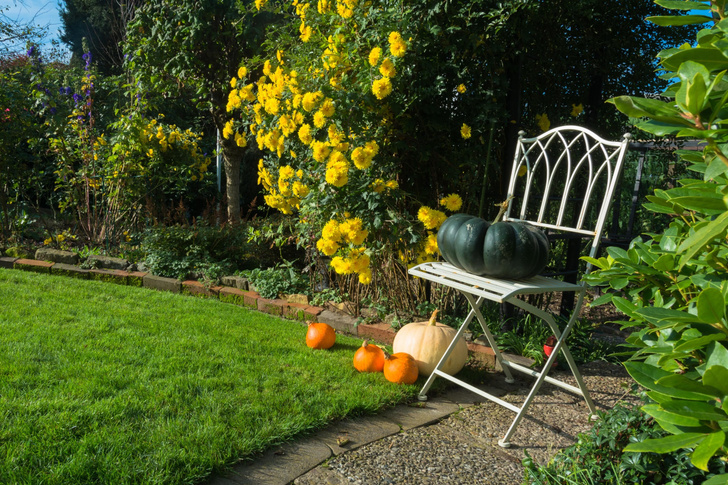 Как ухаживать за садом осенью: советы ландшафтного дизайнера