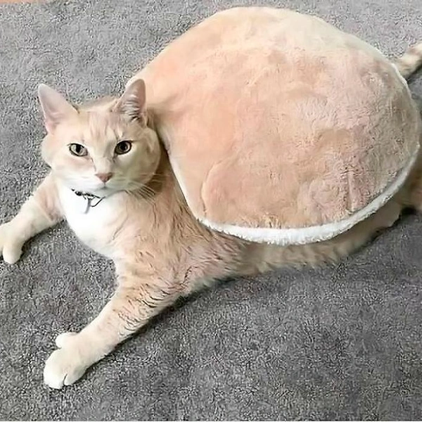 Источник: соцсети