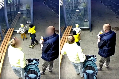 Чиновники Ярославля ищут семью малыша, разбившего остановку