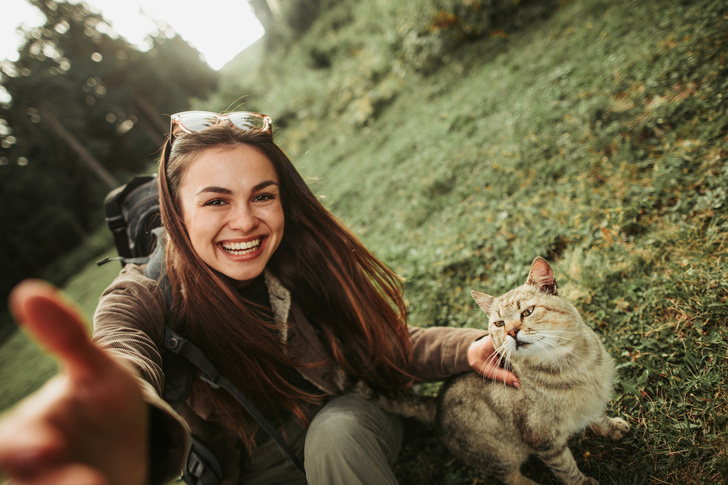 5 важных советов для тех, кто путешествует с животными