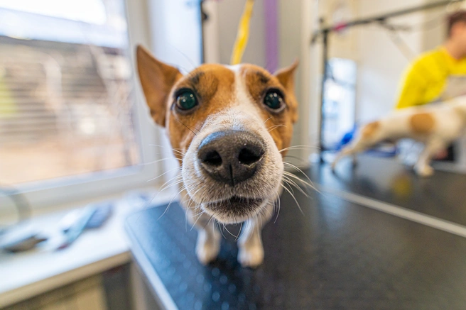 Трагедия произошла чуть меньше года назад | Источник: Олег Фёдоров / CHITA.RU