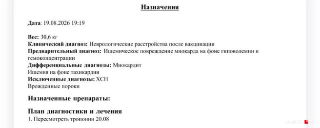 Документы о лечении другой заболевшей собаки из Москвы | Источник: читатель MSK1.RU