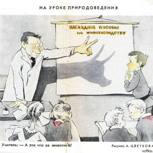 Источник: соцсети