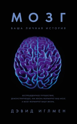 Дэвид Иглмен «Мозг. Ваша личная история»