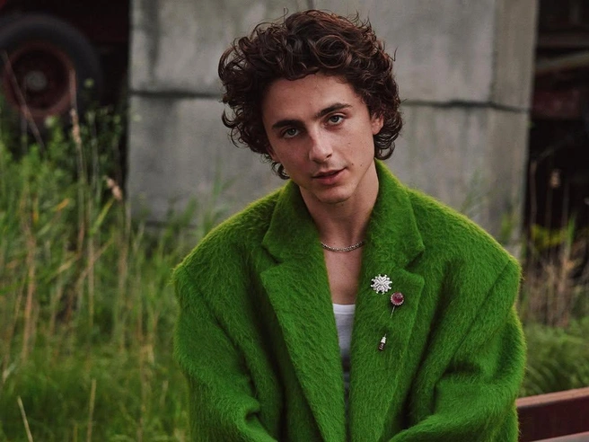 Поклонницам придется на какое-то время попрощаться с роскошными кудрями актера | Источник: tchalamet / Instagram (экстремистская организация, деятельность запрещена на территории РФ)