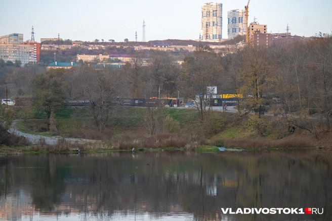 Источник: Елена Буйвол / VLADIVOSTOK1.RU