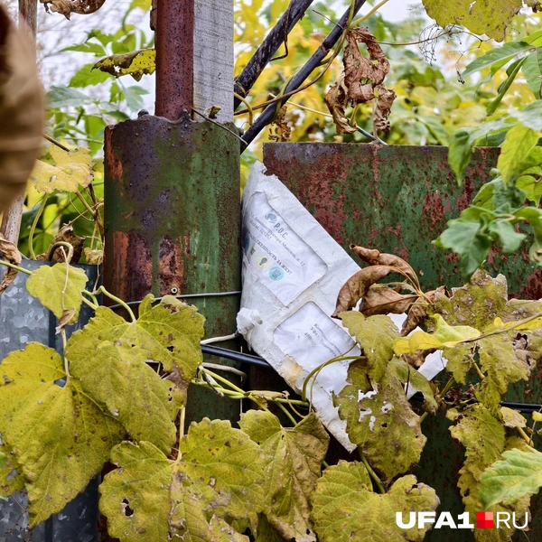Письмо кому-то пришло | Источник: Булат Салихов / UFA1.RU