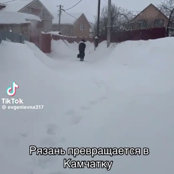 Рязанцы пытаются не отчаиваться в снежном плену | Источник: evgenievna317 / TikTok