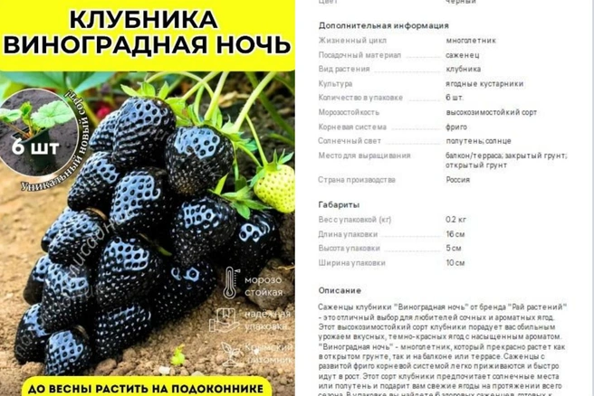 Некоторые продавцы указывают в описании, что ягоды все-таки будут темно-красными. Но это не точно | Источник: скриншот с сайта wildberries.ru