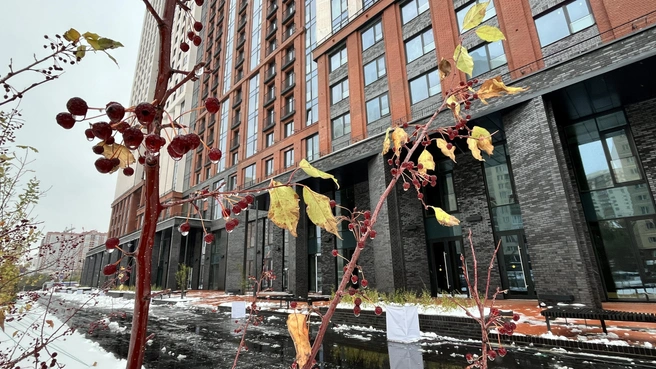 Раньше здесь была неухоженная территория, а сейчас — современная городская среда | Источник: «Сибирь Девелопмент»