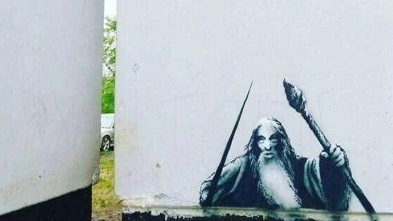 17 картинок недели и дама в вечернем туалете