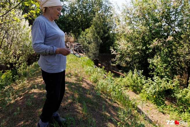 Насыпь с двух сторон СНТ защищает участки от воды | Источник: Ирина Шарова / 72.RU