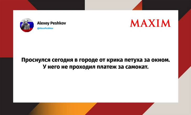 Самые смешные шутки вторника и «попугай с соплями» | Источник: X (Twitter)
