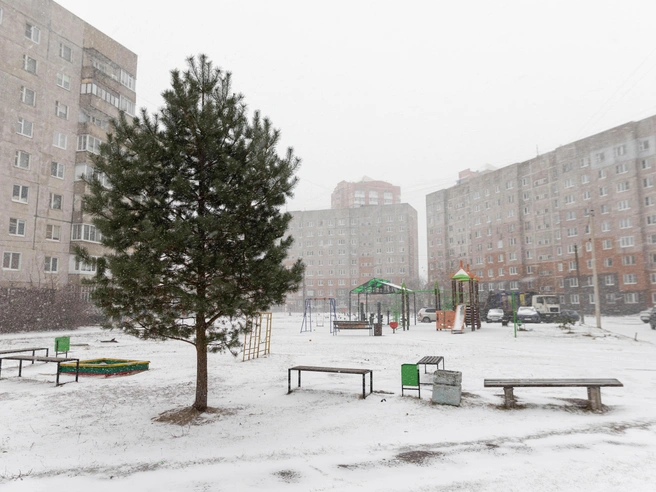 Некоторые горожане успели построить снеговиков. | Источник: Артем Бауман / 76.RU