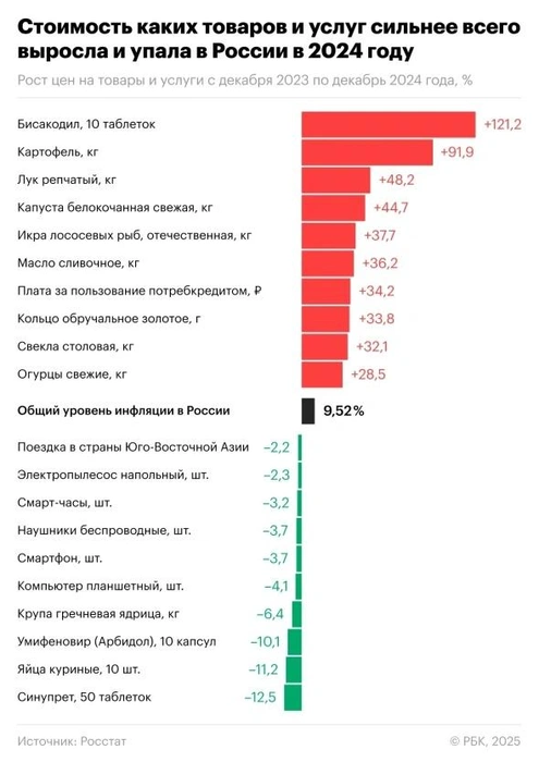 Список самых подорожавших и подешевевших товаров в 2024 году | Источник: РБК