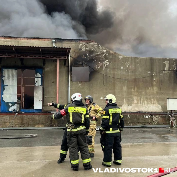 Источник: Елена Буйвол / VLADIVOSTOK1.RU