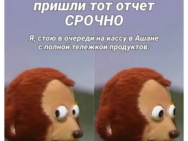 Ситуация почти безвыходная | Источник: Полина Авдошина / Городские медиа