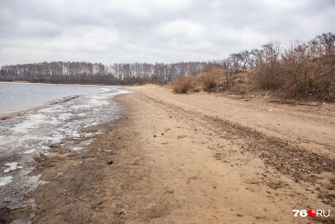 Полоса справа на фотографии — раньше была границей, до куда доходила вода | Источник: Кирилл Поверинов / 76.RU