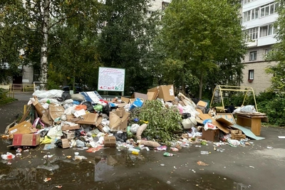 В центре Архангельска скопилась куча мусора