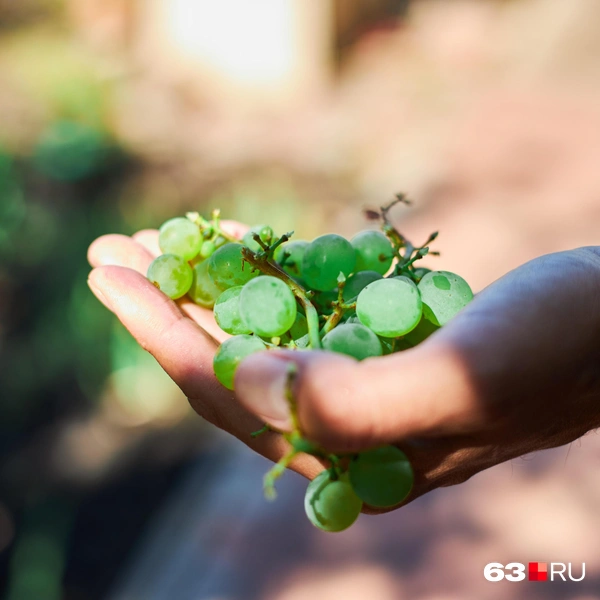 Источник: Роман Данилкин / 63.RU