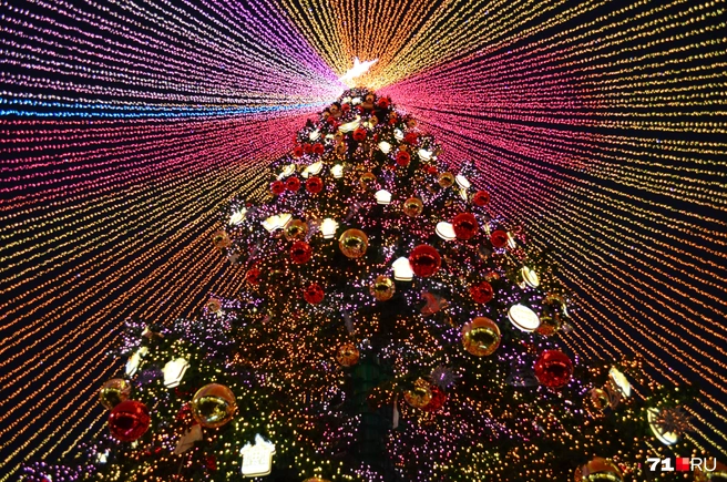 Так выглядит ёлка, если смотреть вблизи снизу вверх | Источник: Максим Улитов / 71.RU