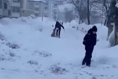 В Поронайске на глазах у детей избили собаку