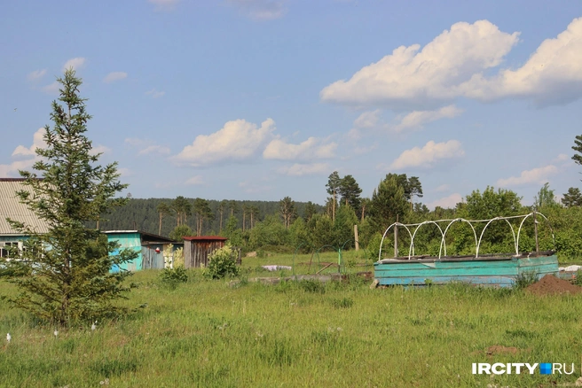 Так выглядит «островной» огород | Источник: Алёна Кашпарова / «ИрСити»
