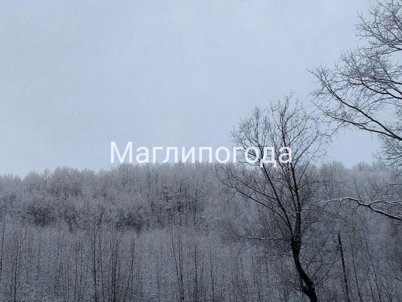 Приморье засыпало снегом, но только в одном месте
