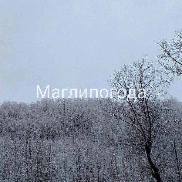 Источник: Маглипогода|Погода|Прогноз погоды|Погода в Приморском крае / T.me