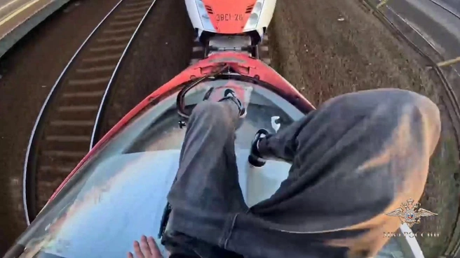 Юные петербуржцы похвастались видео поездки на крыше «Сапсана» и оказались в полиции | Источник: официальный представитель МВД России Ирина Волк