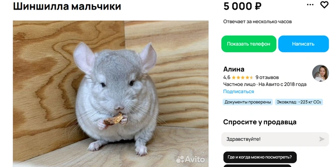 К покупке прилагается подарок | Источник: Авито