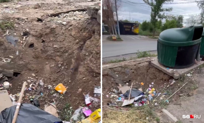 В Оренбурге на улице Просторной упитанные крысы оккупировали мусорную площадку | Источник: Читатели 56.RU
