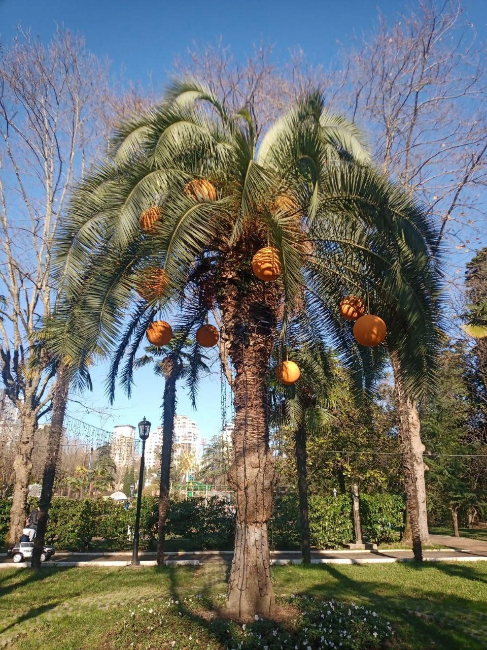 По мнению ярославны, Сочи походит для жизни тем, кто любит тепло и людей | Источник: Наталья