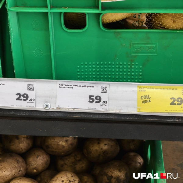 Источник: Булат Салихов / UFA1.RU