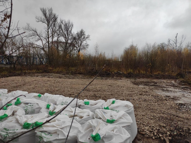 Источник: Наталья Бурухина / NN.RU