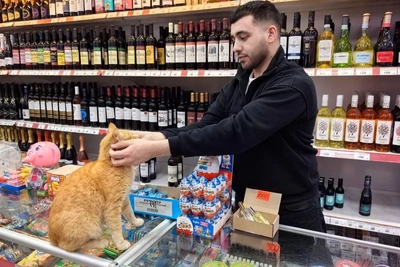 Alcohol and cigarette prices surge in Moscow after excise hike