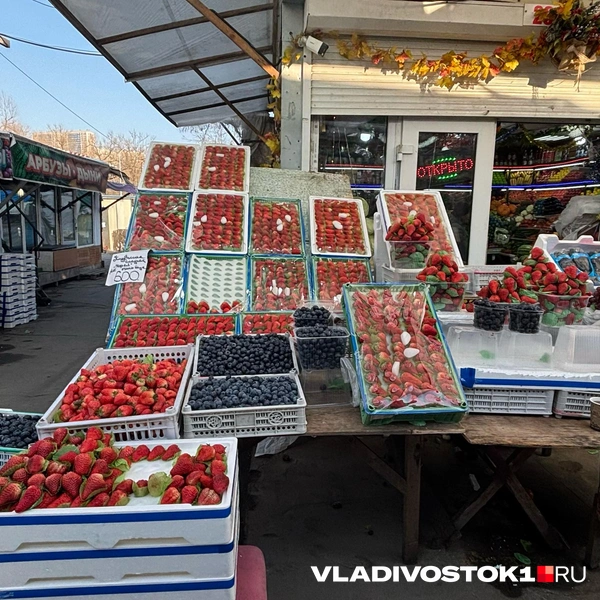 Источник: Елена Буйвол / VLADIVOSTOK1.RU