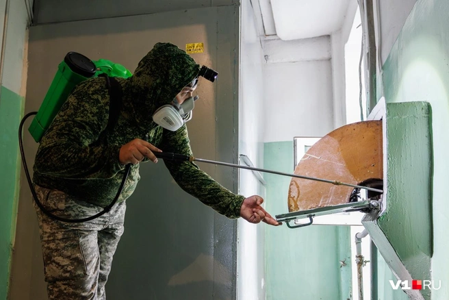 Дезинфекция мусоропроводов порой не приносит должного результата | Источник: Алексей Волхонский / V1.RU